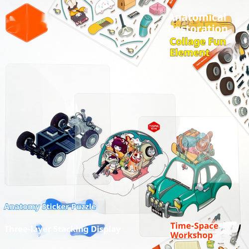 Anatomical Reconstruction 3D Puzzle Stickers